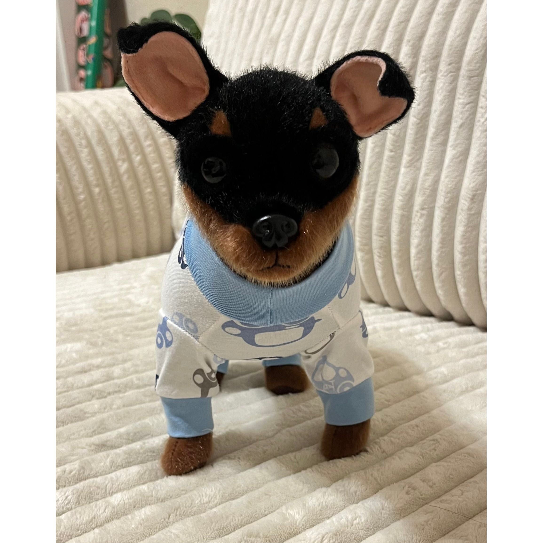 Small dog wearing a blue and white outfit on a beige couch