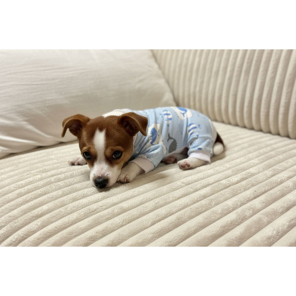 Dog wearing blue pajamas with whale pattern on a beige couch