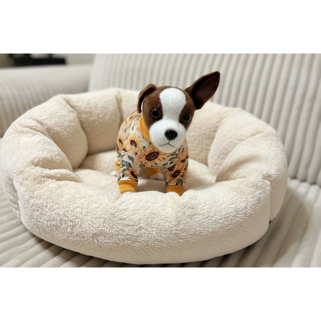 Dog with  sunflower print pajamas on a beige sofa