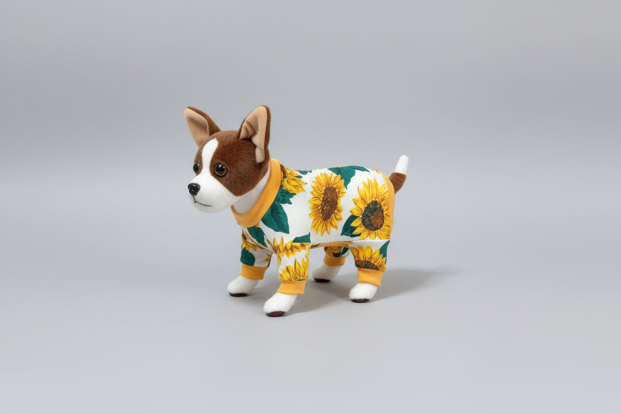 Small dog wearing a sunflower patterned outfit on a beige couch