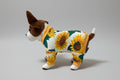 Small dog wearing a sunflower patterned outfit on a beige couch