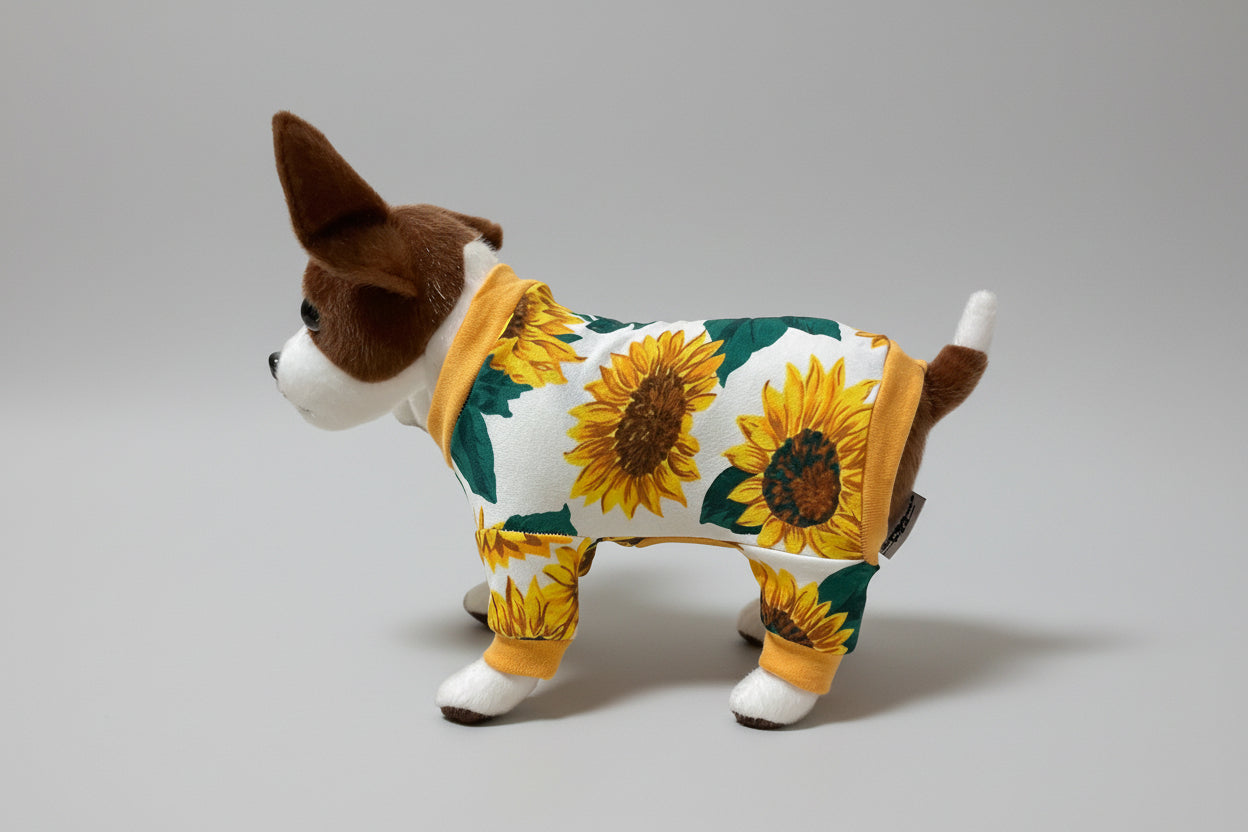 Small dog wearing a sunflower patterned outfit on a beige couch