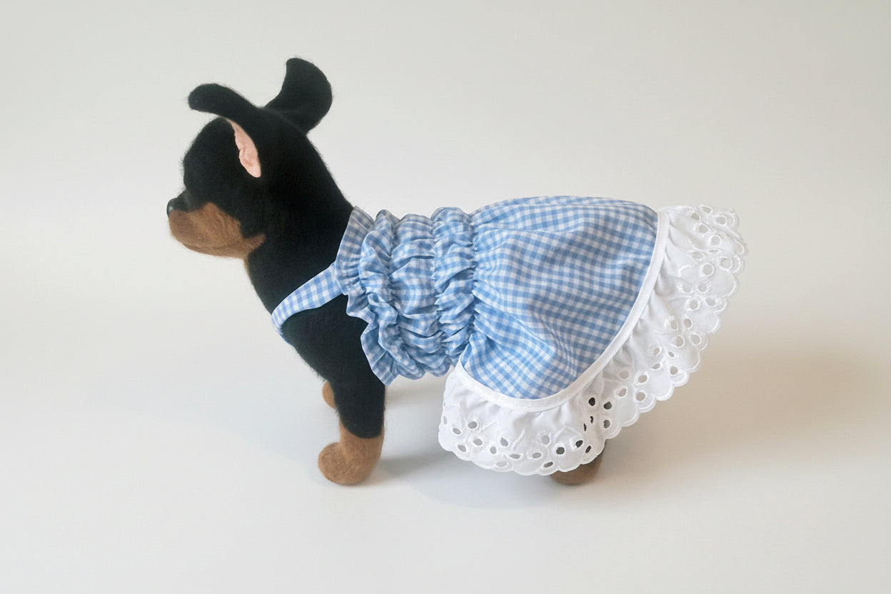 Small dog wearing a blue checkered dress with white lace trim on a white background
