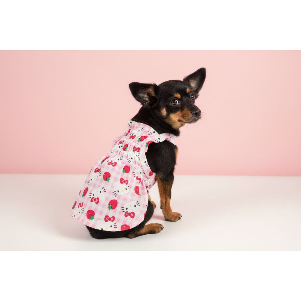 Small dog wearing a pink dress with cherry pattern on a white bed