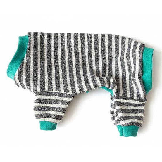 Striped pet outfit with teal accents on a beige surface