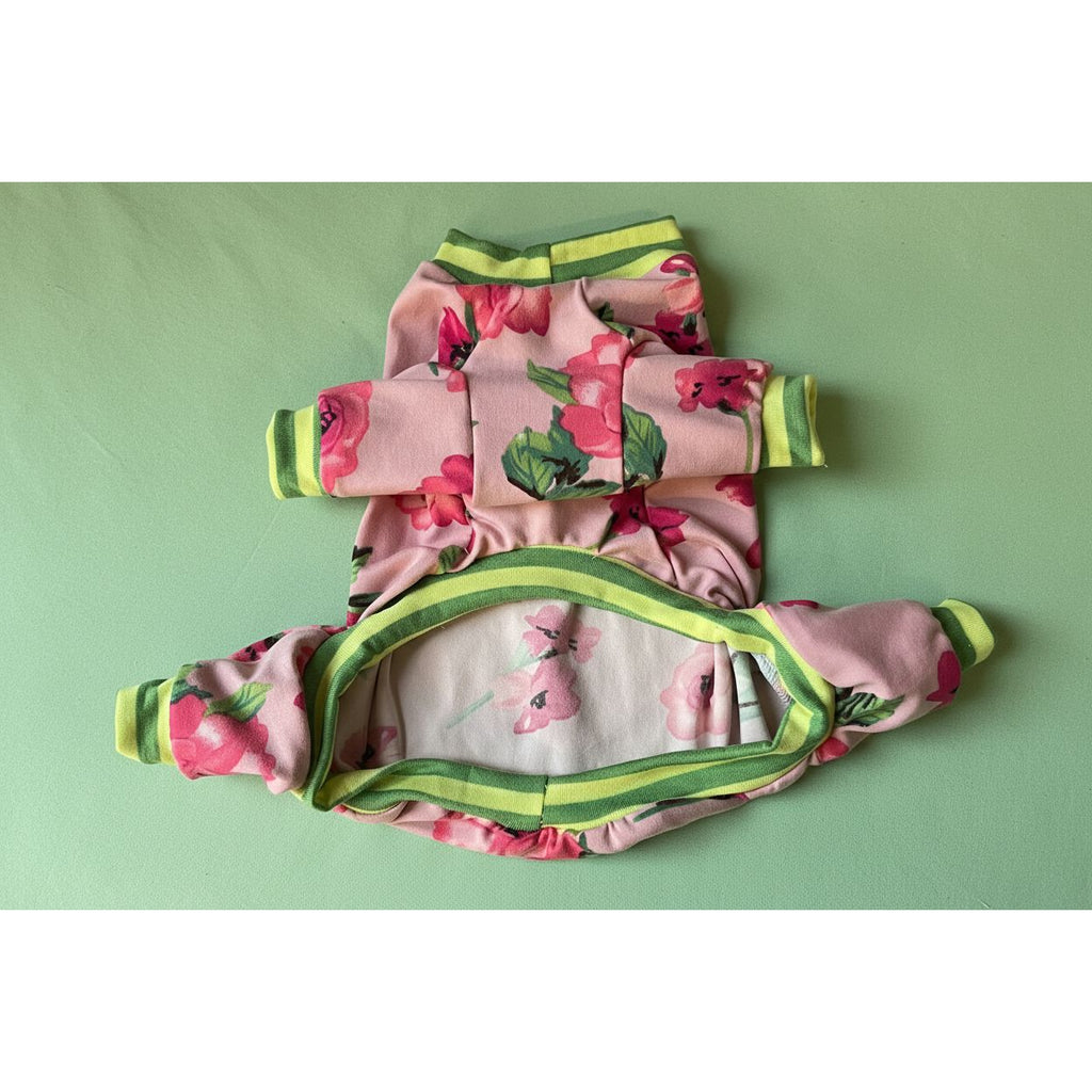 Floral-patterned dog pajamas with green trim on a light background