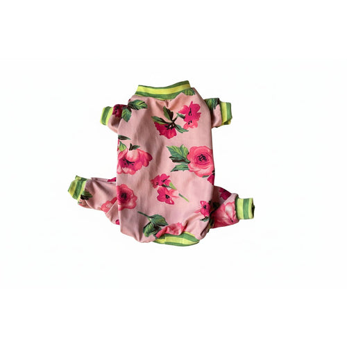 Floral-patterned dog pajamas on a beige surface