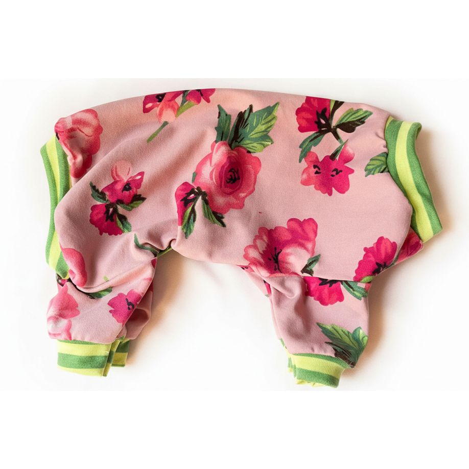 Floral-patterned dog pajamas on a white background