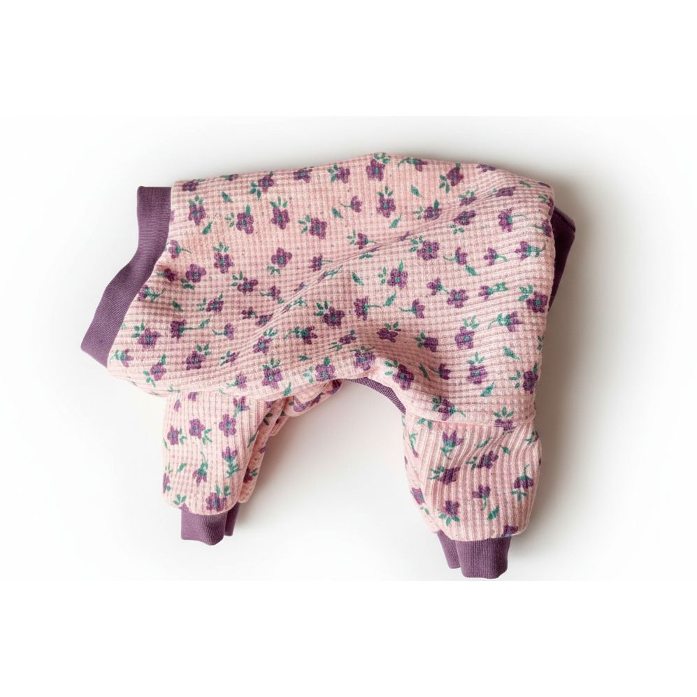 Floral-patterned dog pajamas on a white surface
