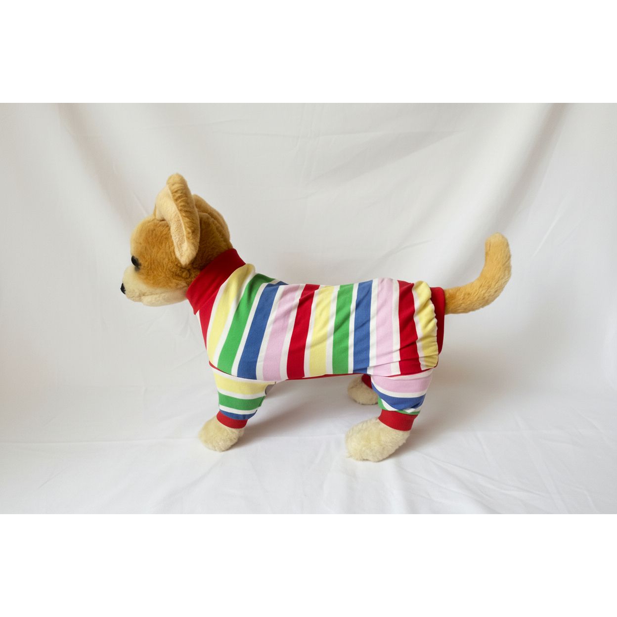 Dog wearing a colorful striped outfit on a white background