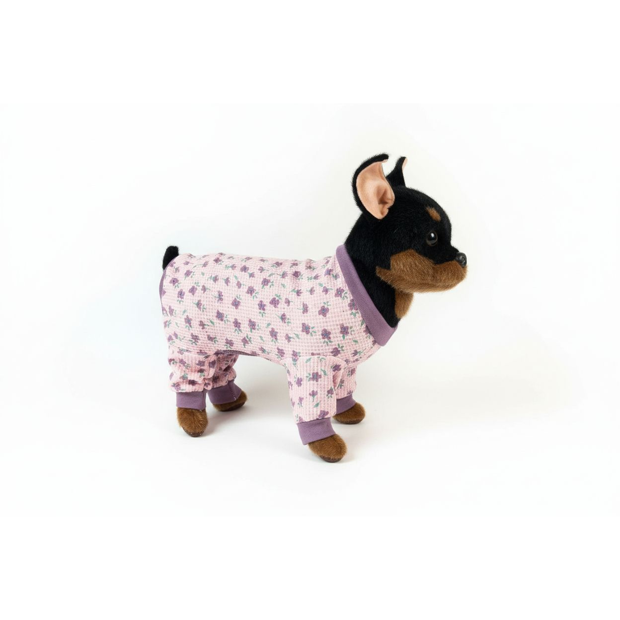 Small dog wearing a pink floral pajama outfit on a white background