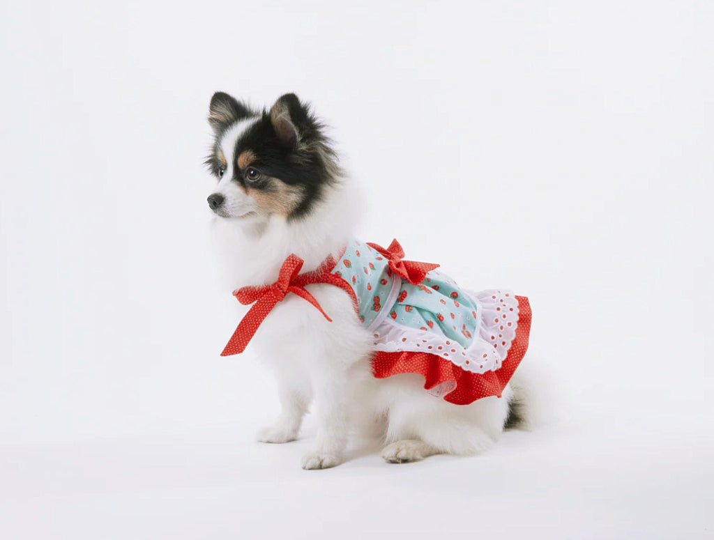 Cute red polka dot fresh strawberry print dog dress