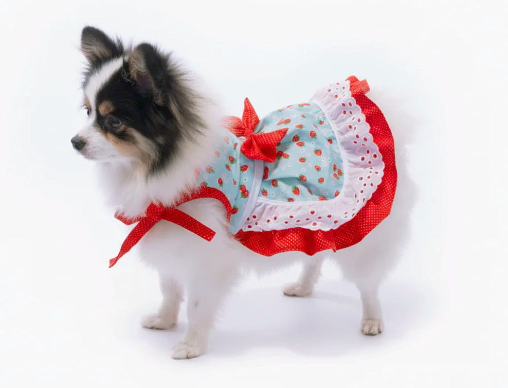 Cute red polka dot fresh strawberry print dog dress