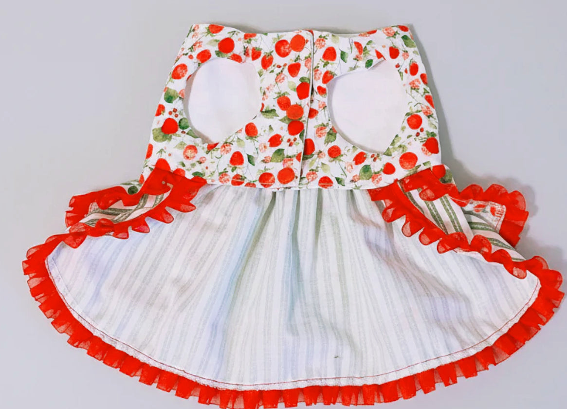 Summer fresh sweet strawberries green and red dog dress.