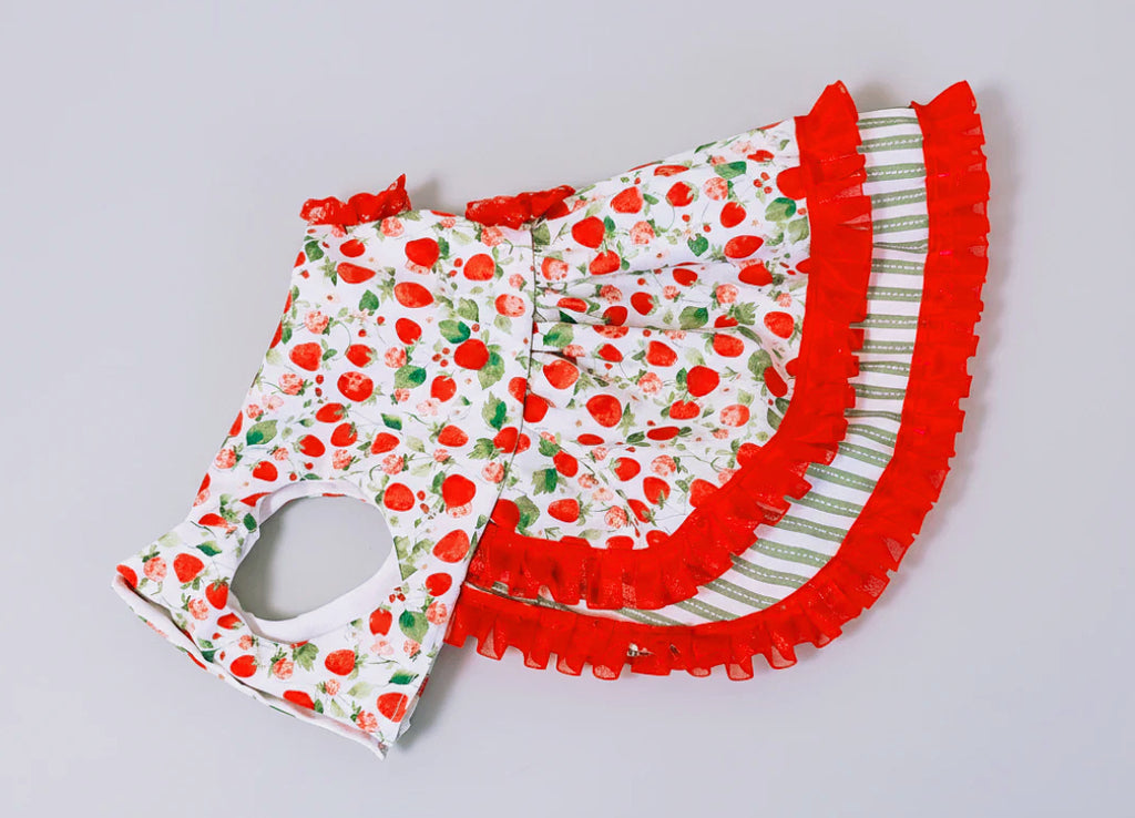 Summer fresh sweet strawberries green and red dog dress.