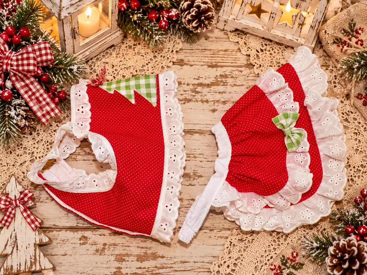 Christmas Cottage Cutie Dog Skirt Set