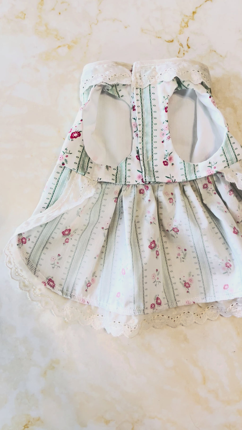 Vintage inspired green stripes and red flowers dog dress