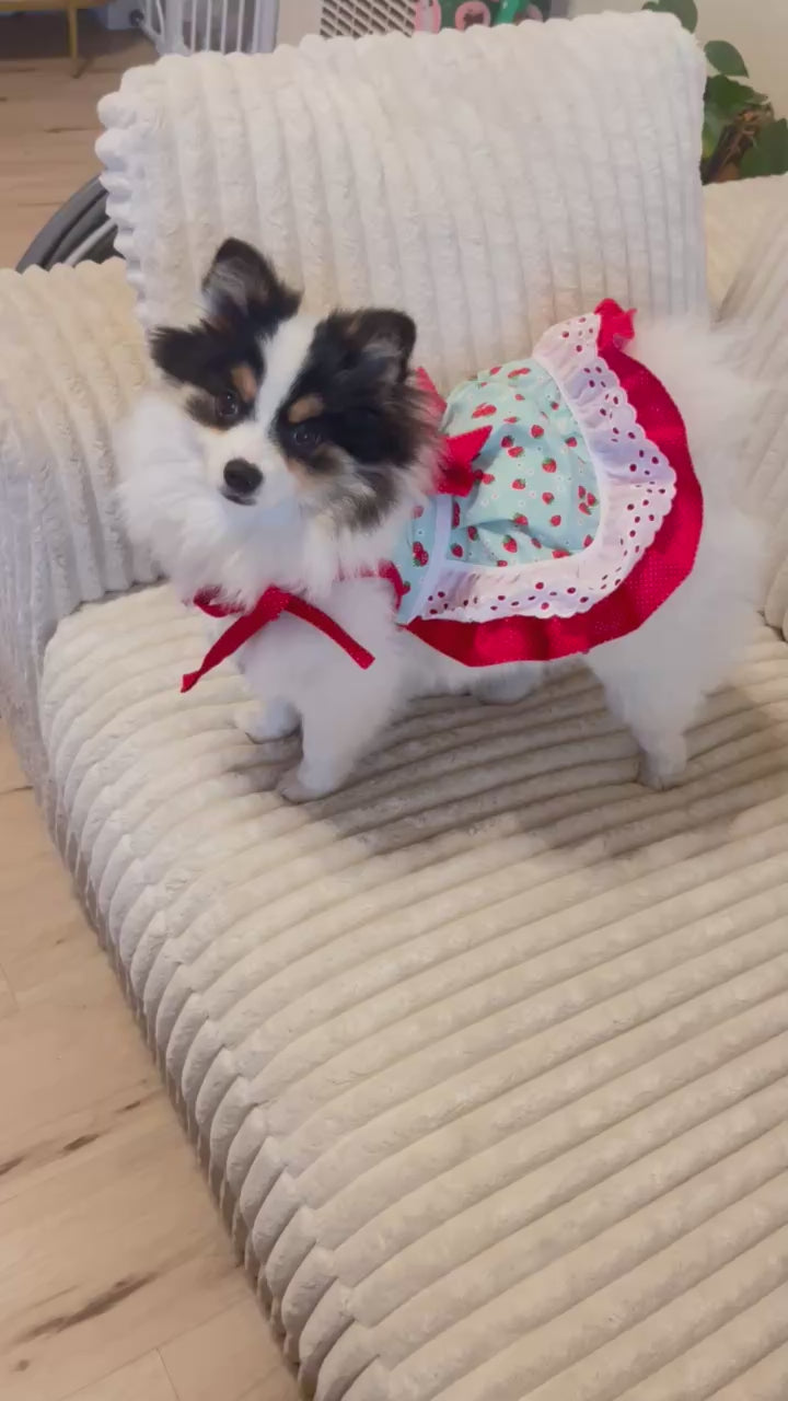 Cute red polka dot fresh strawberry print dog dress