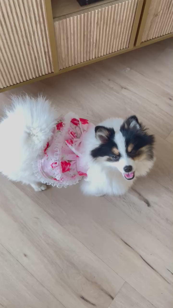 Lace and Roses Furr-Princess dog dress