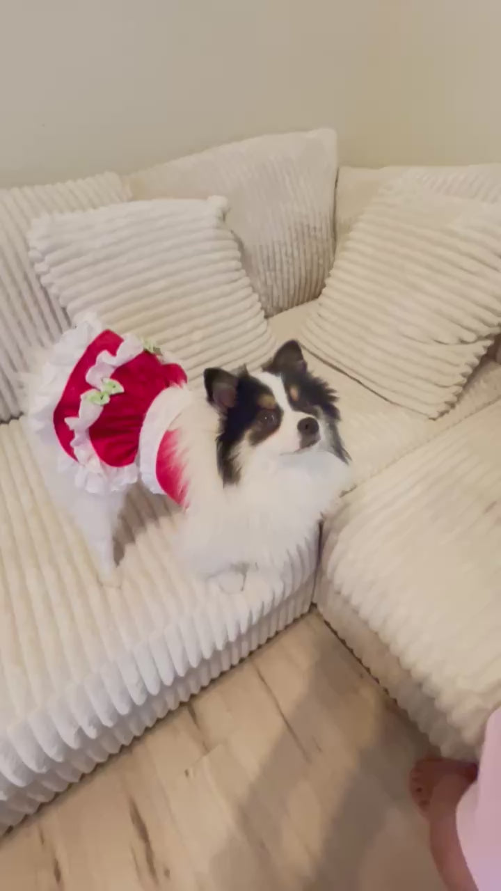 Christmas Cottage Cutie Dog Skirt Set