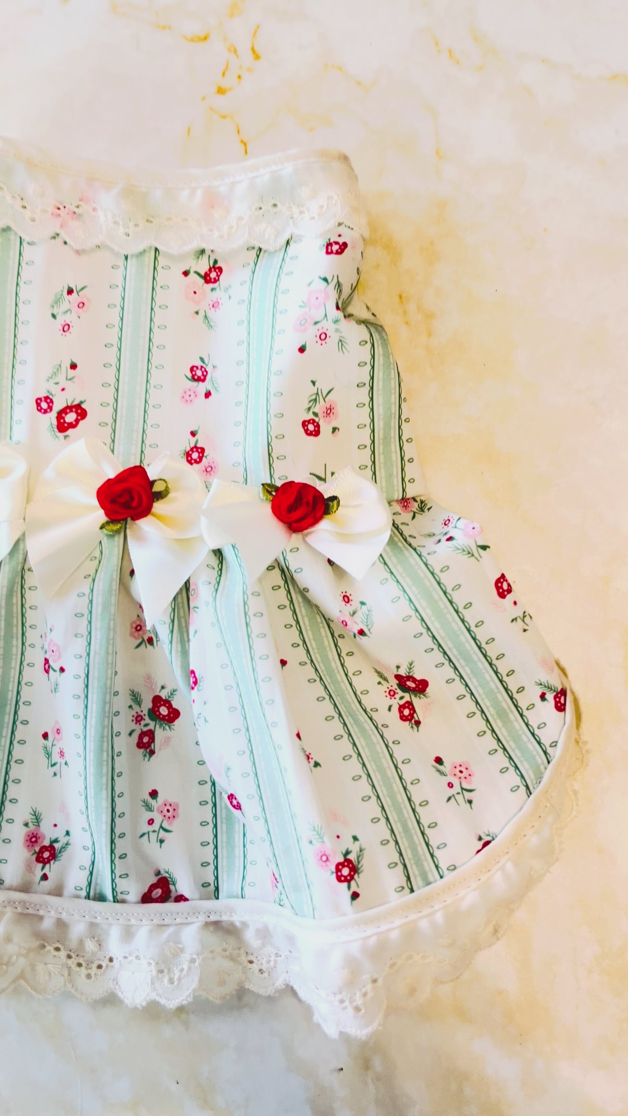 Vintage inspired green stripes and red flowers dog dress