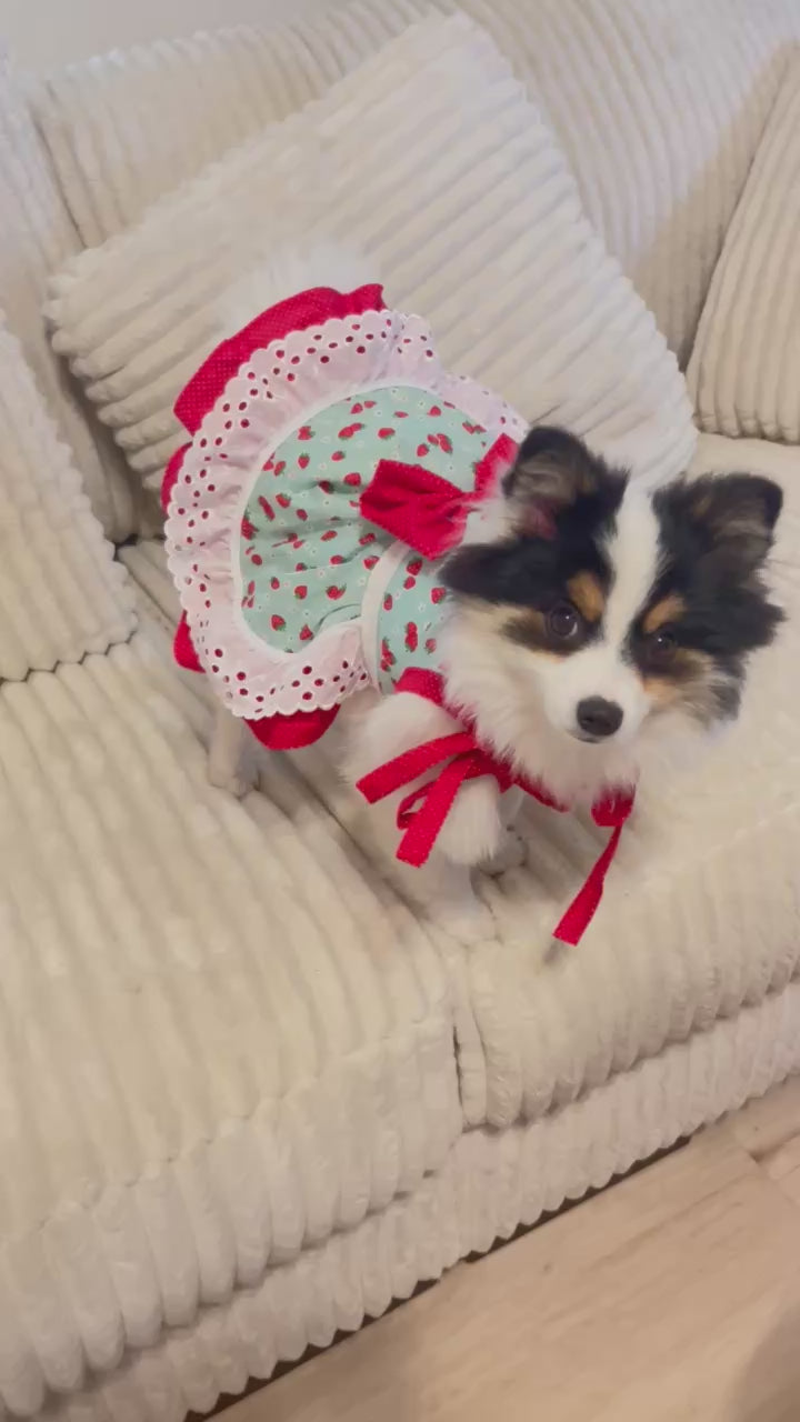 Cute red polka dot fresh strawberry print dog dress