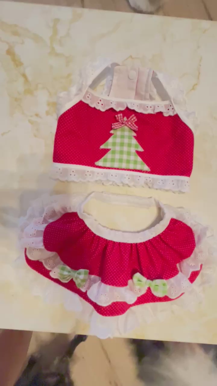 Christmas Cottage Cutie Dog Skirt Set