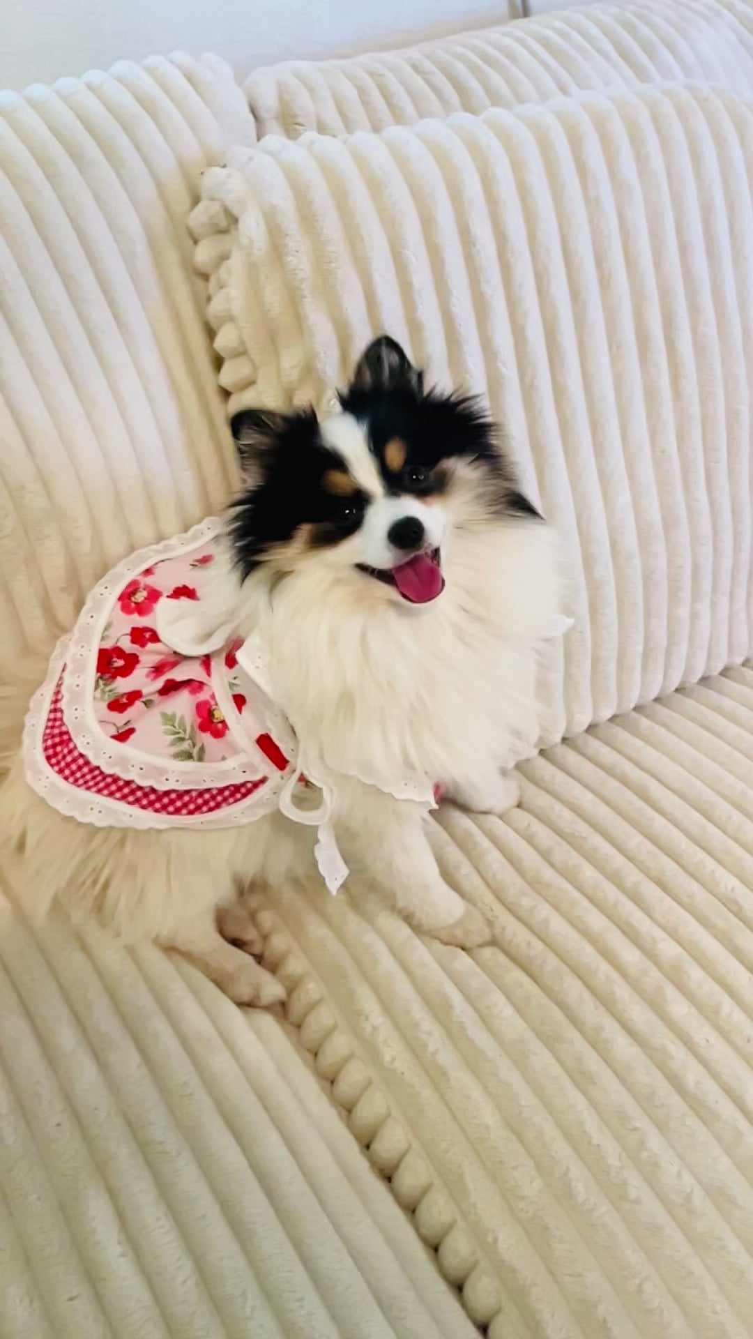 Red Summer Flowers Dog Dress