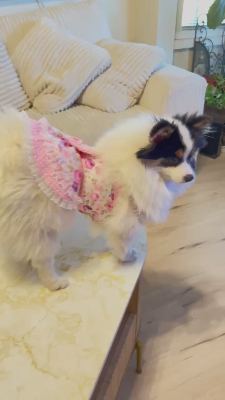 Pink Polka Dots and Rose Garden Dog Dress