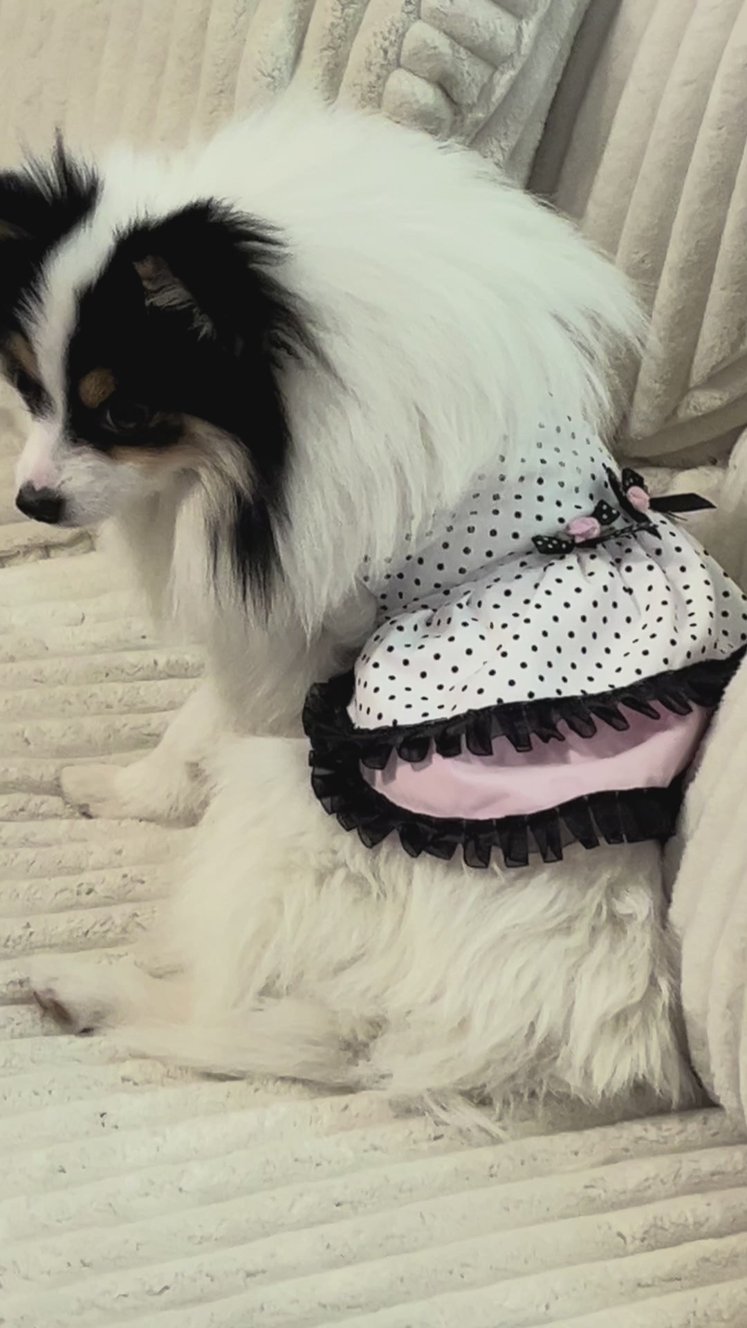 The Genevieve, Black and white polka dot dog dress
