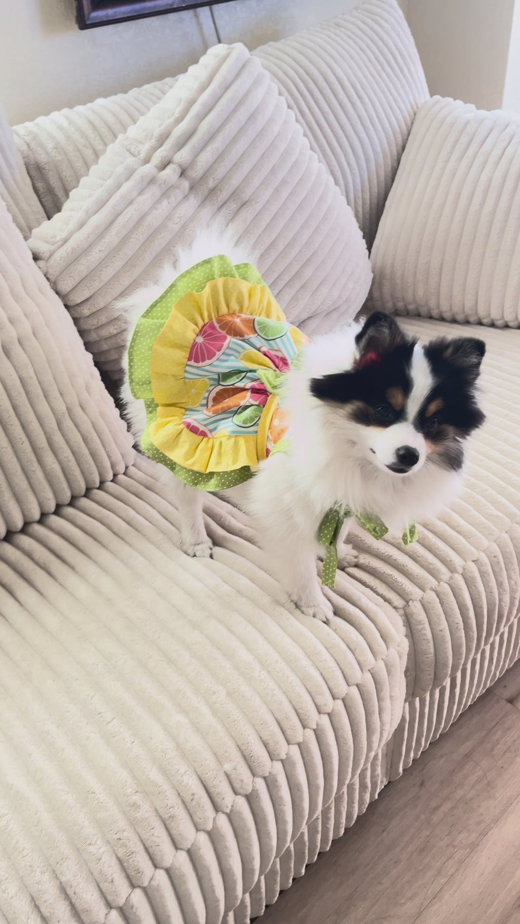 Summer citrus summer dog dress